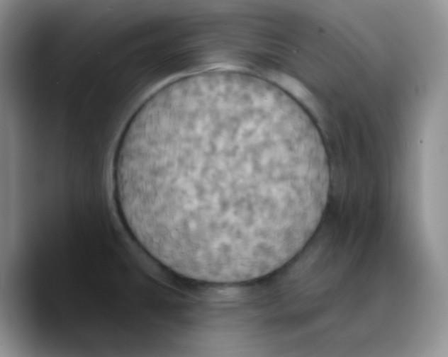 X0000089721431200707201812
