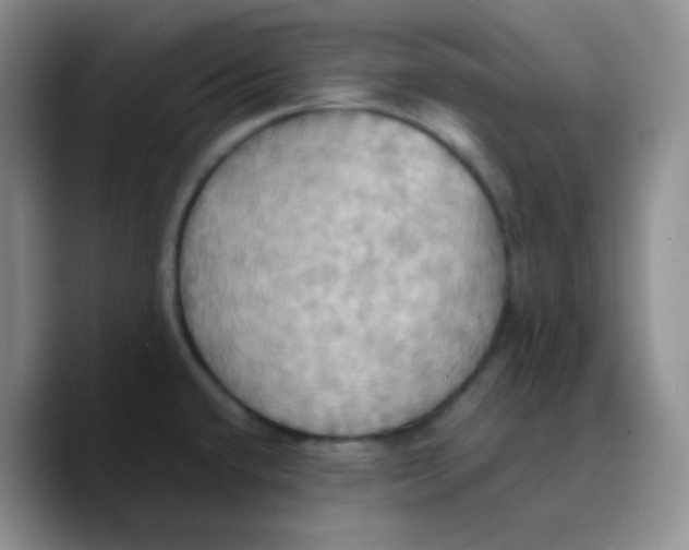 X0000089721432200707201812