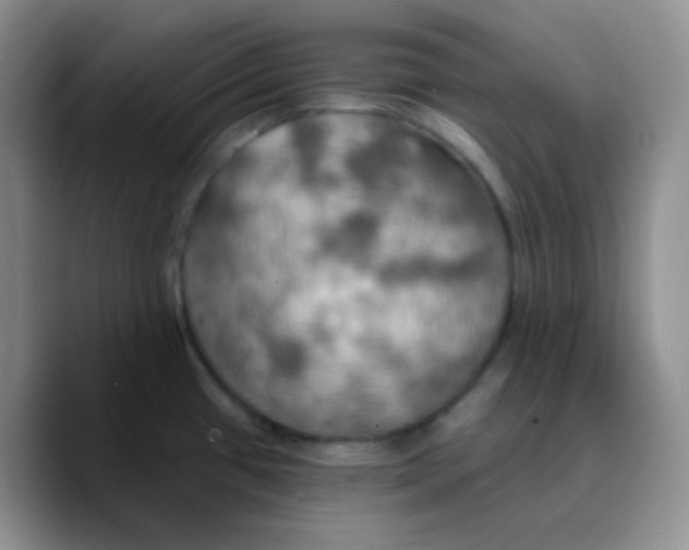 X0000089721433200707201812