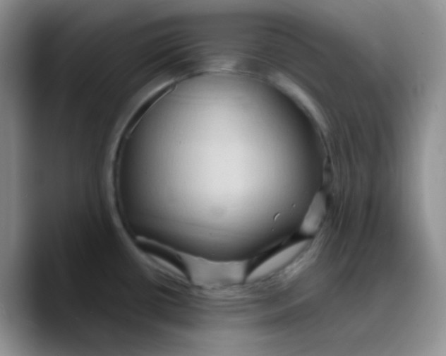 X0000089721434200707201812
