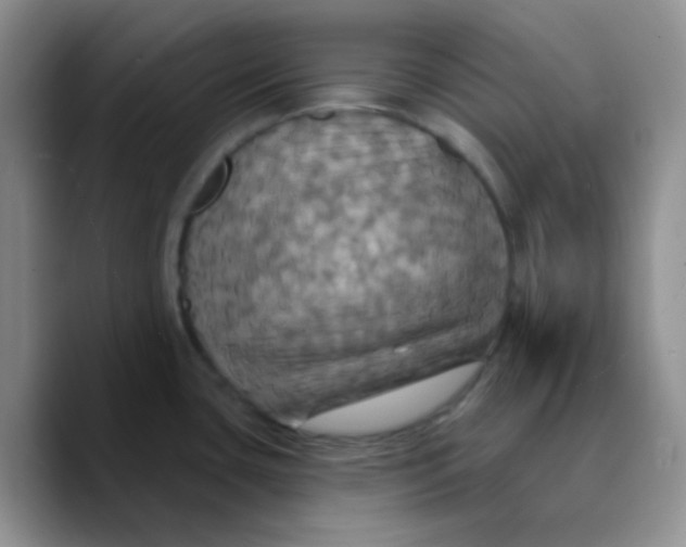 X0000089721435200707201812