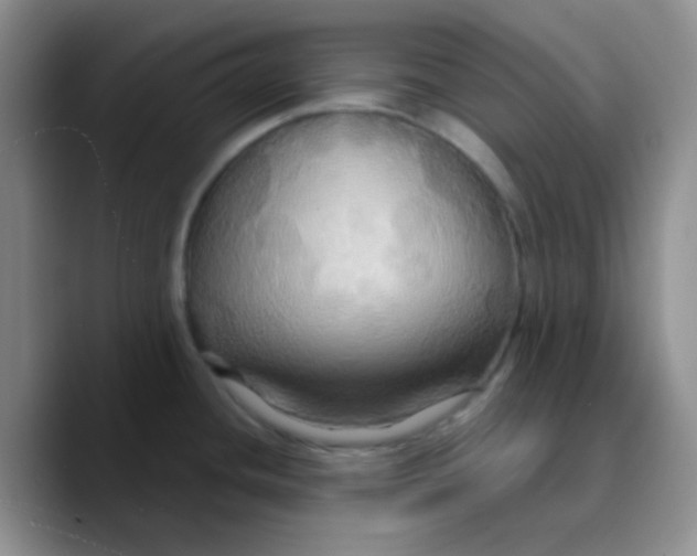 X0000089721436200707201812