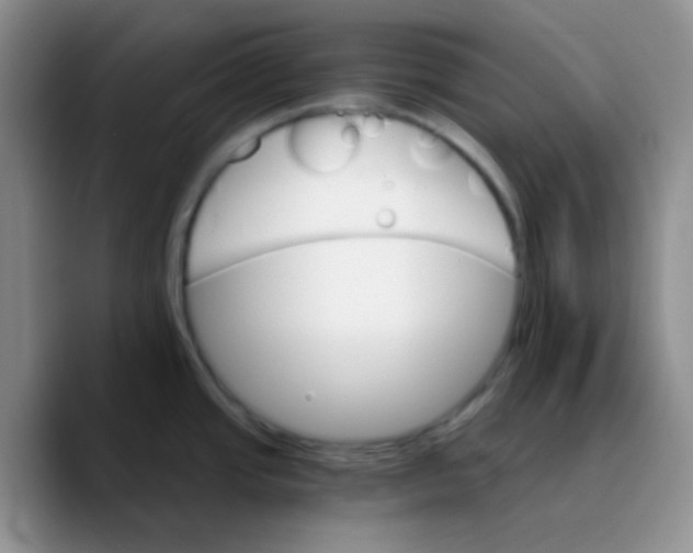 X0000089721437200707201812