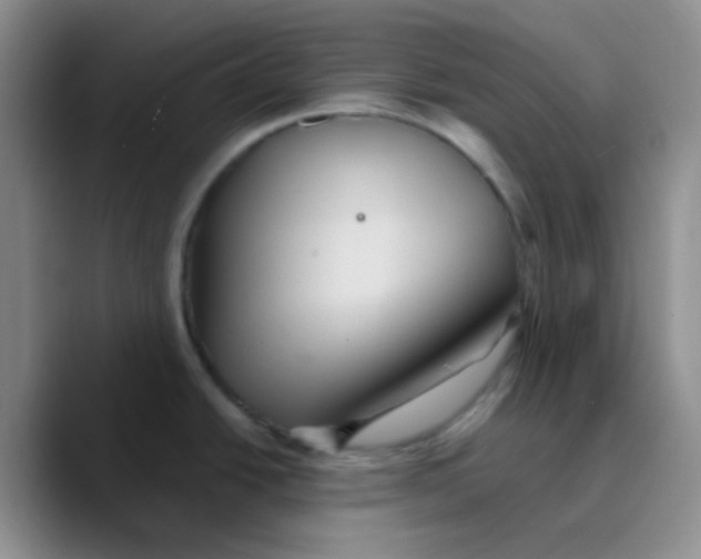 X0000089721438200707201812