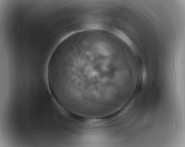 X0000089721439200707201812