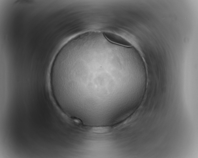 X0000089721440200707201812