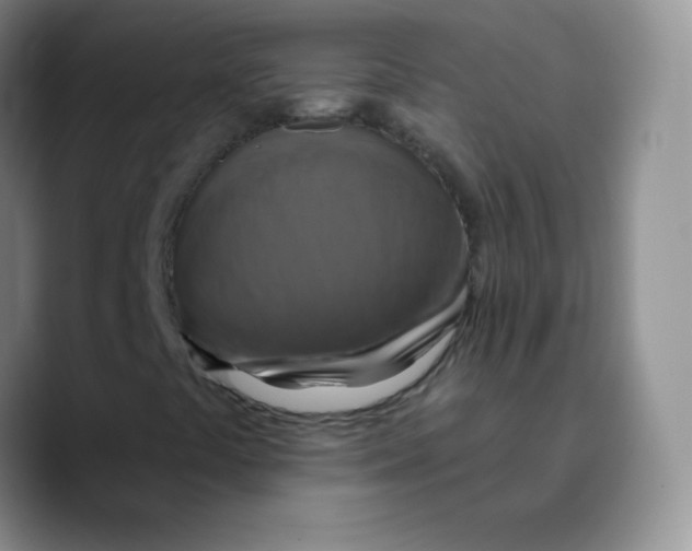 X0000089721441200707201811