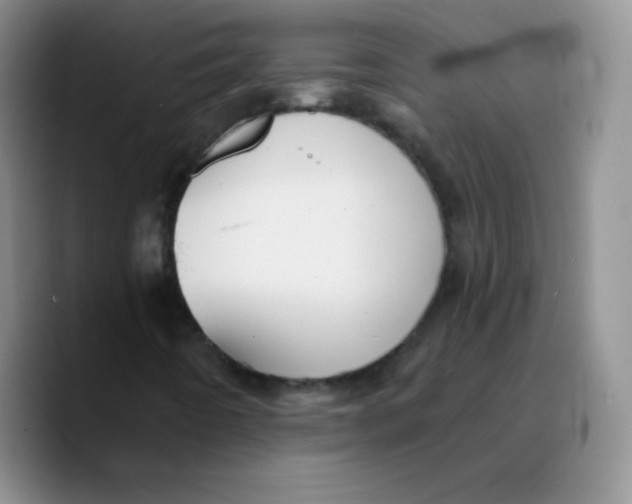X0000089721442200707201811