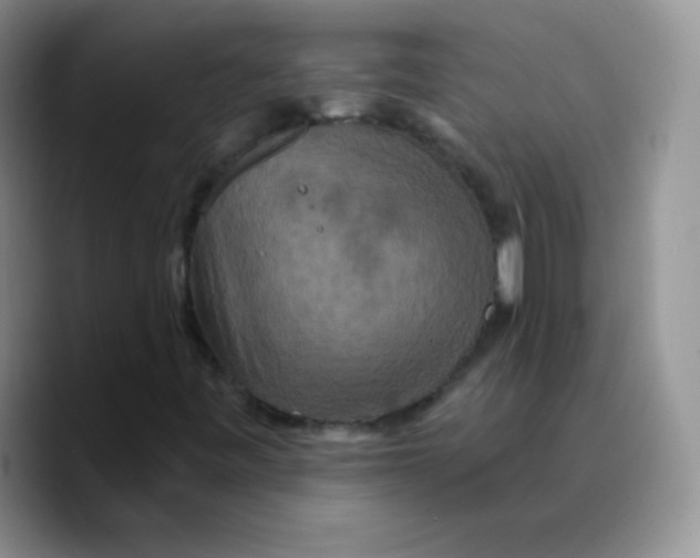 X0000089721443200707201811