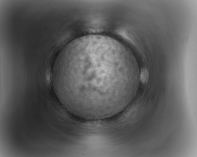 X0000089721444200707201811