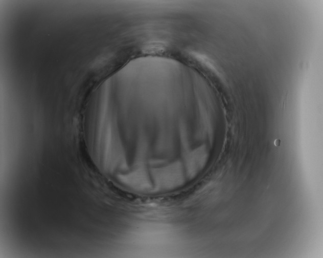 X0000089721445200707201811