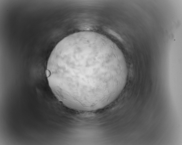 X0000089721446200707201811