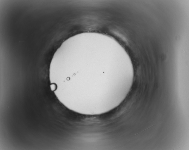 X0000089721447200707201811
