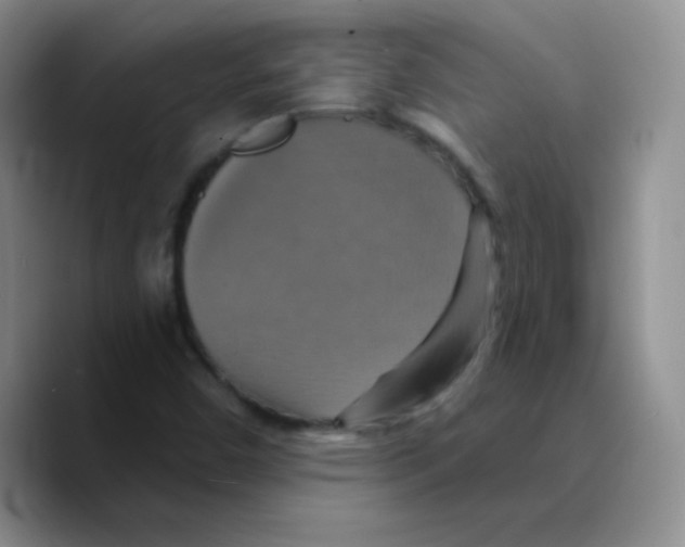 X0000089721450200707201811