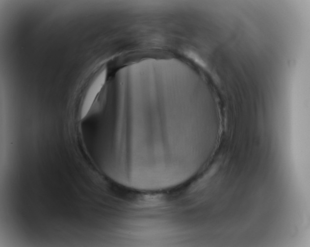 X0000089721453200707201811