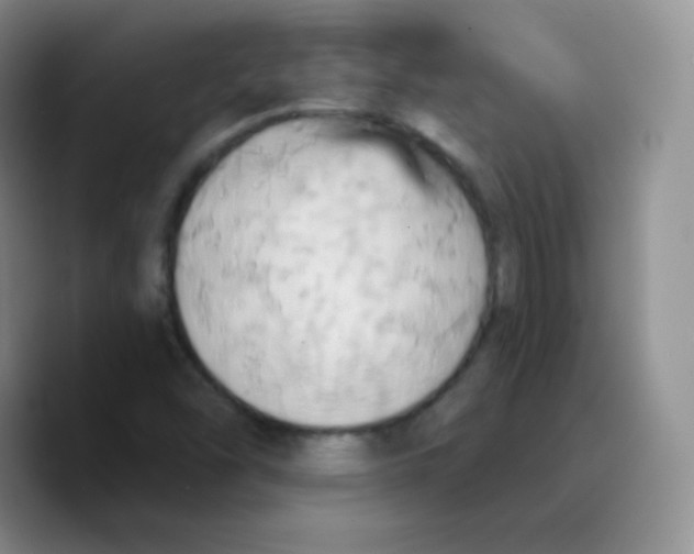 X0000089721454200707201811