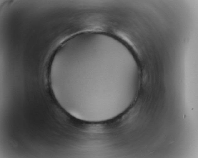 X0000089721455200707201811