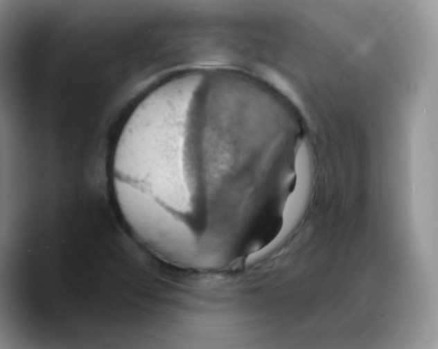 X0000089721456200707201811