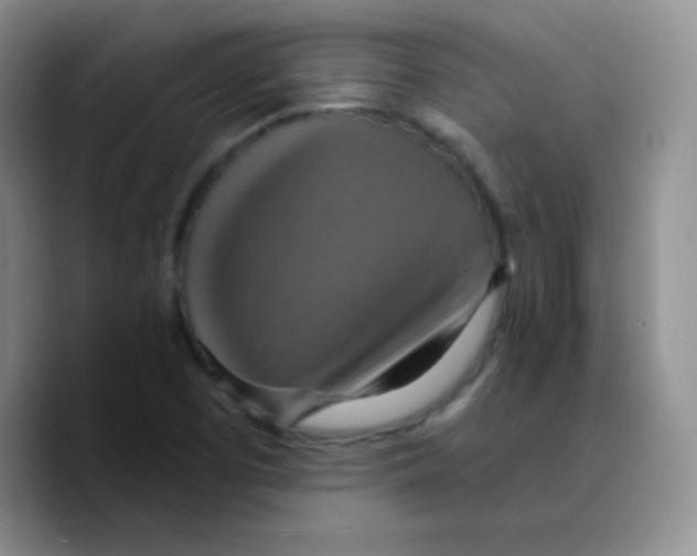 X0000089721457200707201811