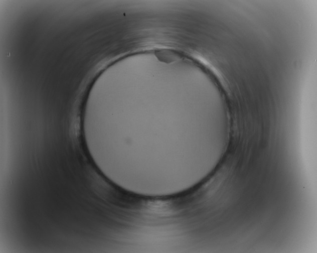 X0000089721459200707201811