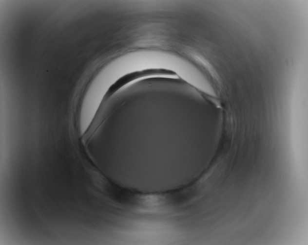 X0000089721461200707201811