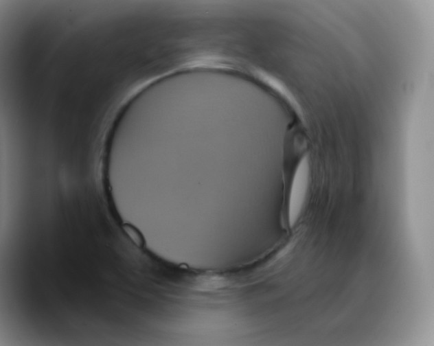 X0000089721463200707201811