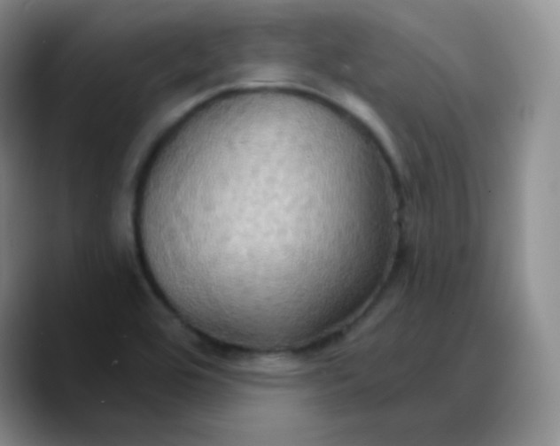 X0000089721464200707201811