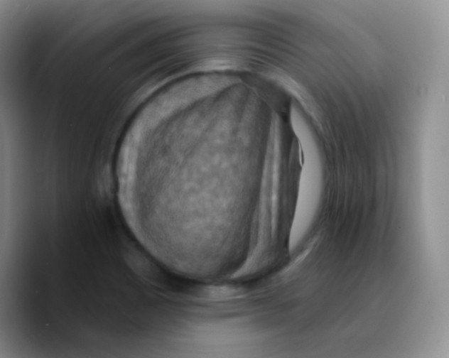 X0000089721465200707201811