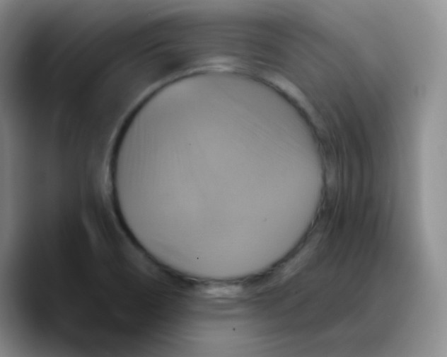 X0000089721466200707201811