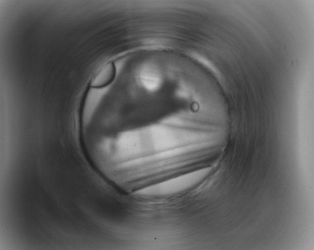 X0000089721467200707201811