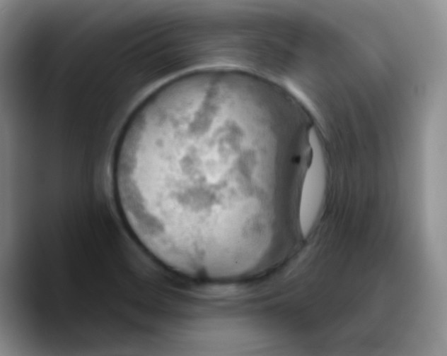 X0000089721468200707201811