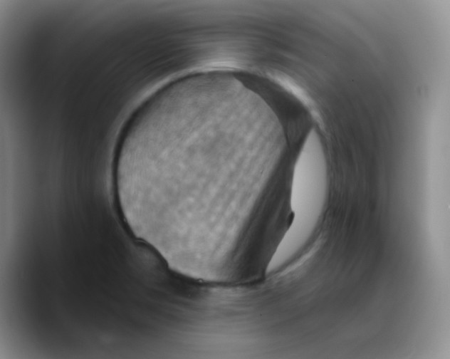 X0000089721469200707201811