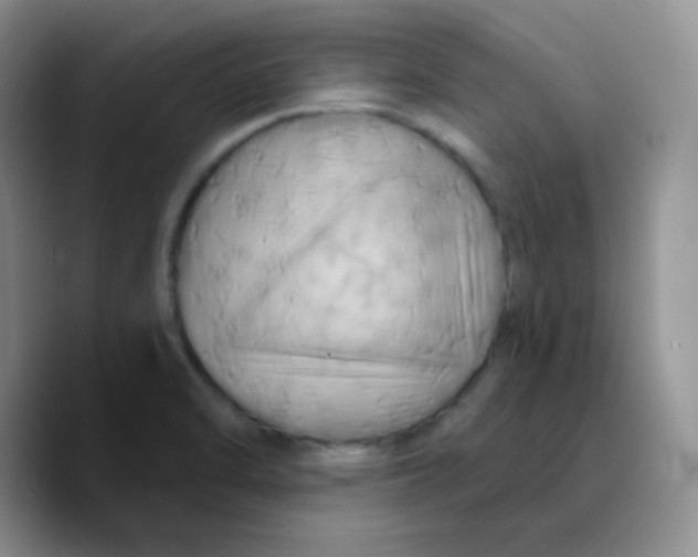 X0000089721470200707201811