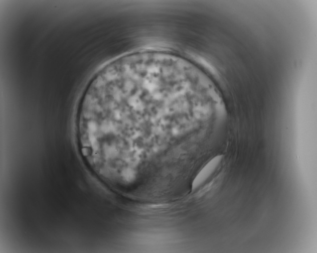 X0000089721471200707201811