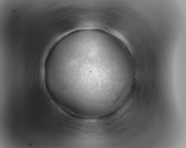 X0000089721472200707201811
