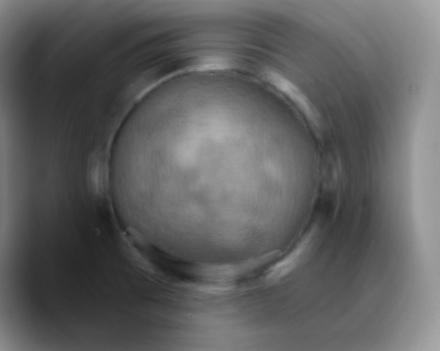 X0000089721473200707201811