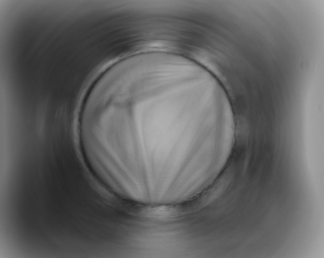 X0000089721474200707201811