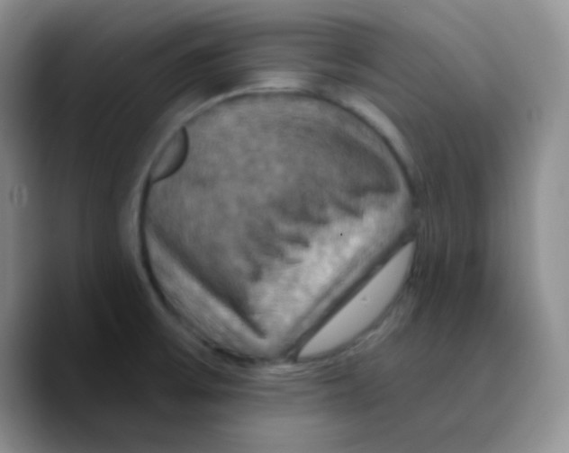 X0000089721475200707201811