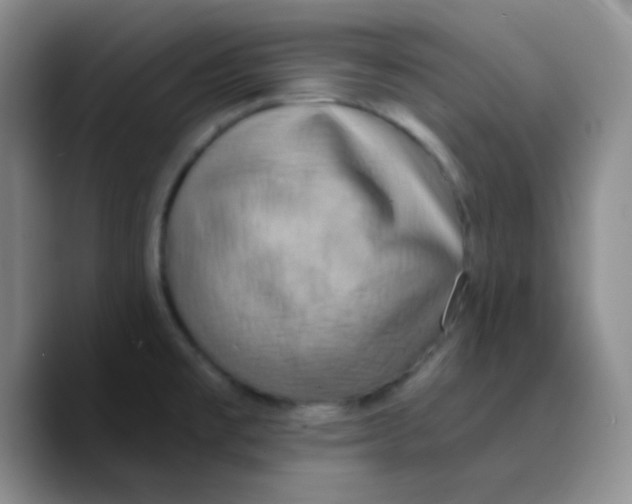 X0000089721477200707201811
