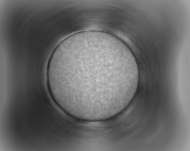 X0000089721479200707201811