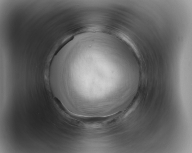 X0000089721481200707201811