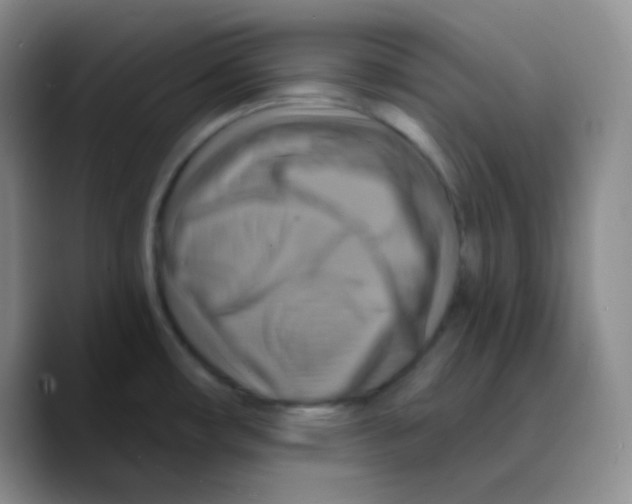 X0000089721482200707201811