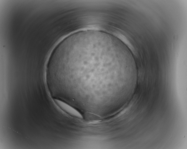 X0000089721484200707201811
