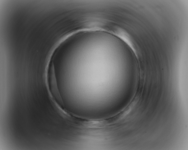 X0000089721485200707201810