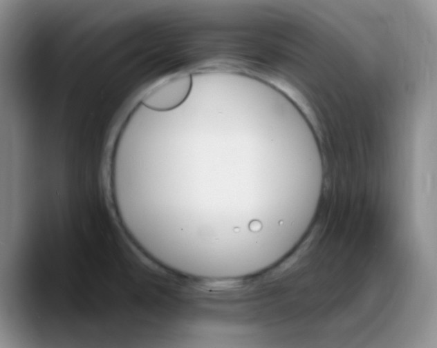 X0000089721486200707201810