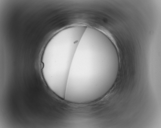 X0000089721488200707201810