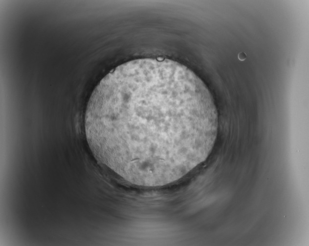X0000089721490200707201810