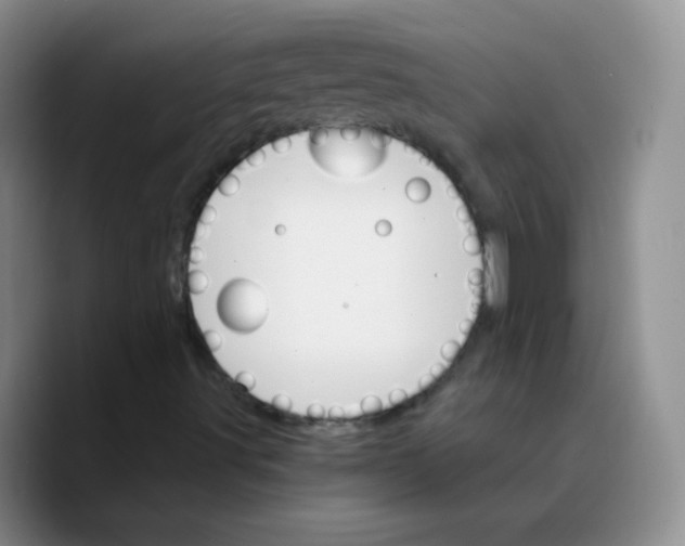 X0000089721491200707201810