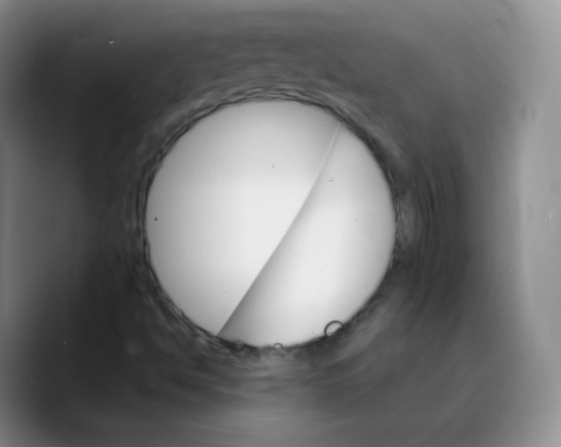 X0000089721494200707201810