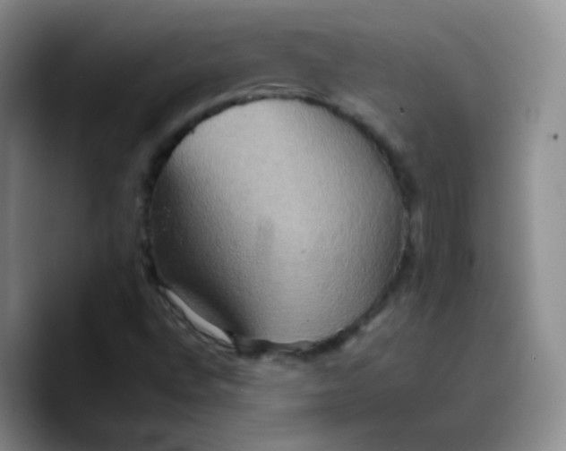 X0000089721496200707201810